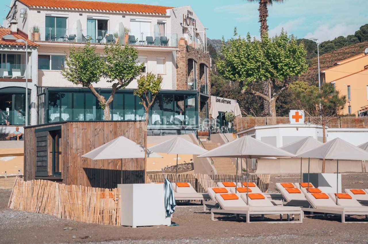 Chaises longues avec parasols sur une plage, devant un hôtel et des bâtiments bordés d'arbres.