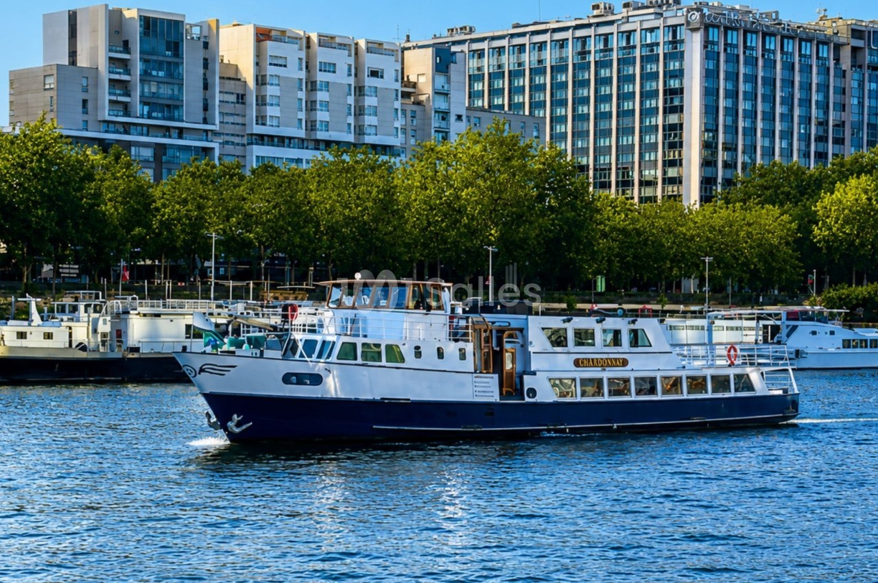 Bateau de tourisme naviguant sur une rivière bordée d'arbres et de bâtiments modernes en arrière-plan.