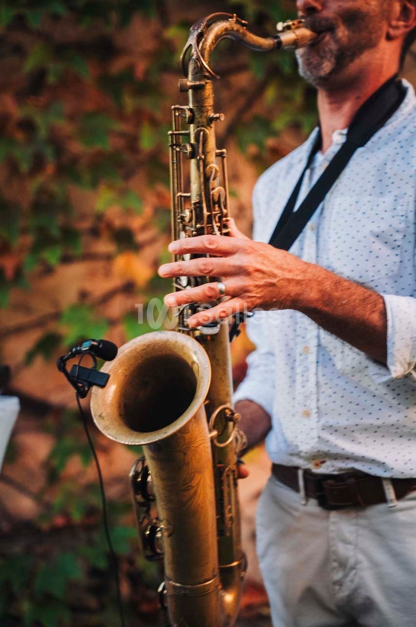 Un musicien joue du saxophone devant un mur couvert de feuillage, capturé en lumière naturelle.
