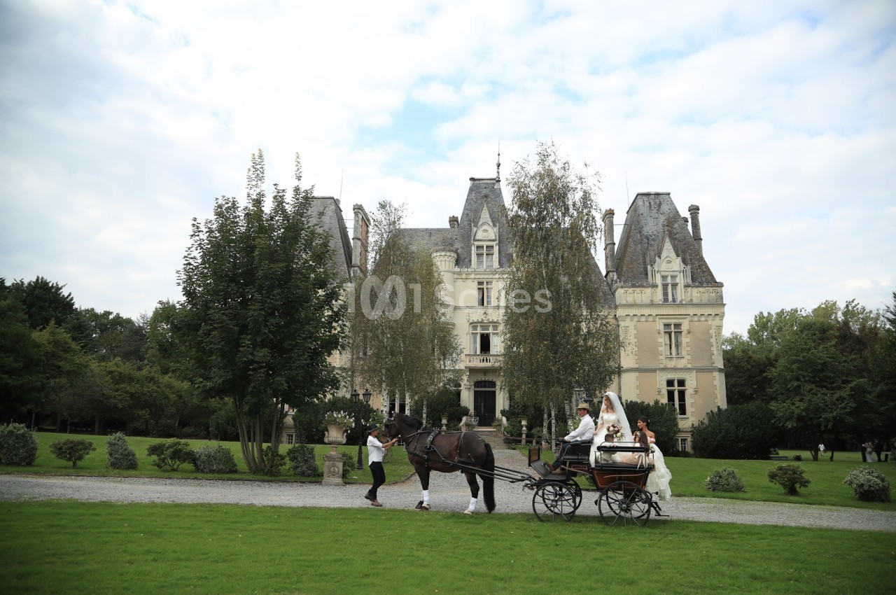 Calèche tirée par deux chevaux passant devant un château entouré de verdure par une journée légèrement nuageuse.