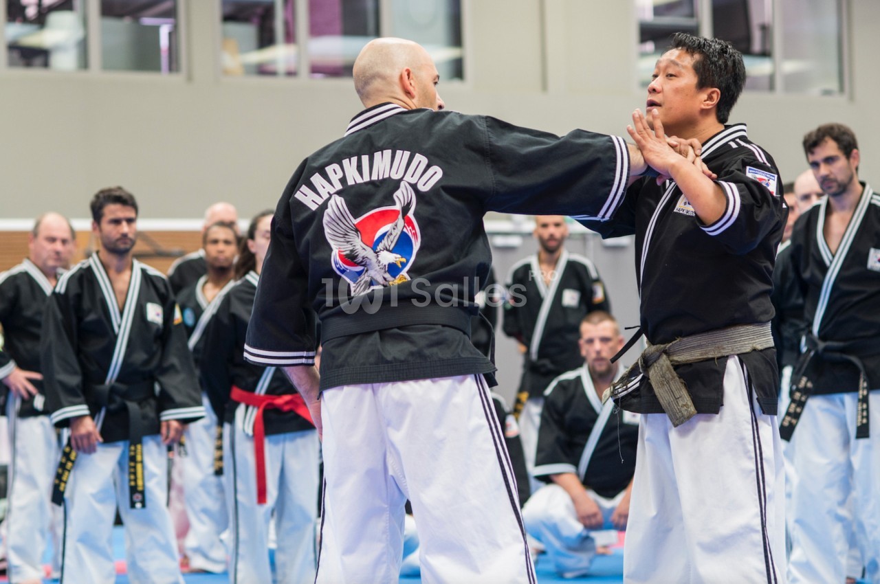 Deux hommes en tenue de hapkido s'entraînent dans un dojo, entourés d'autres pratiquants attentifs.