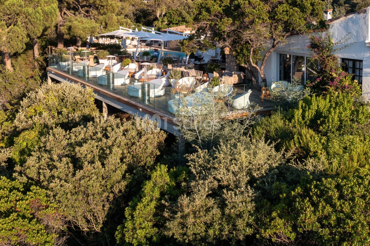 Terrasse en bois surélevée avec tables et chaises, entourée de végétation dense et surplombant un paysage naturel.