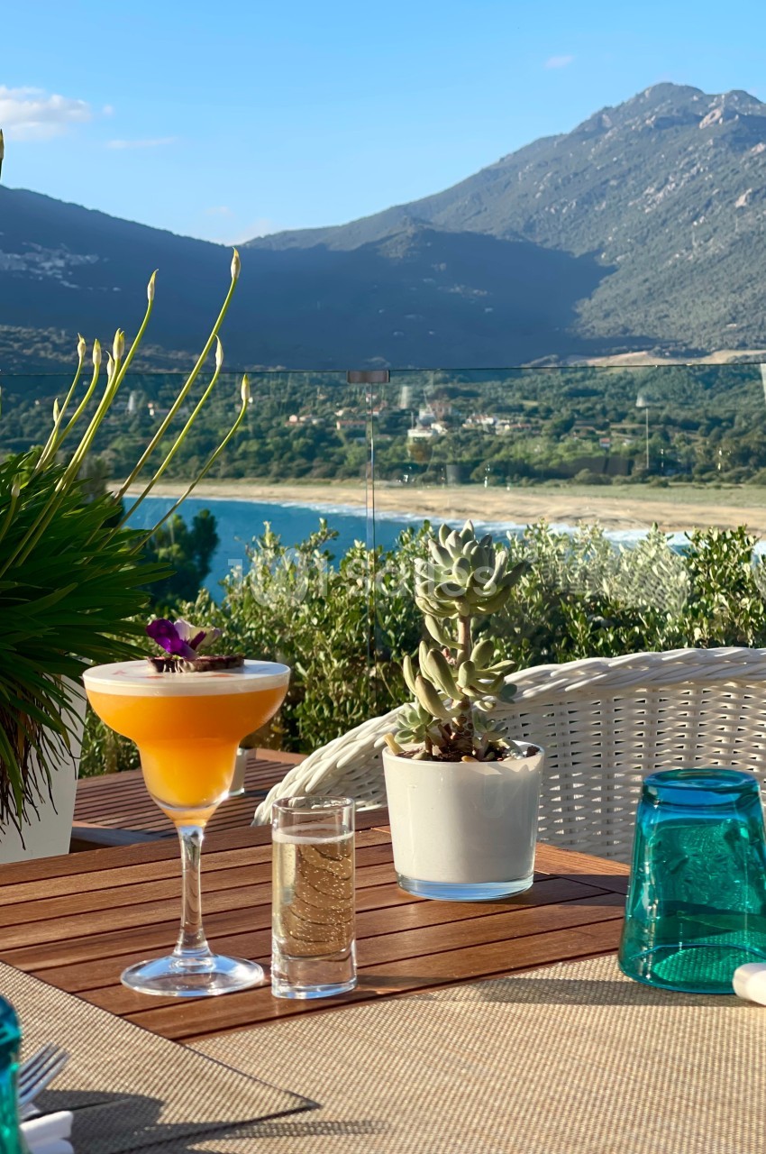 Cocktail sur une table en terrasse avec vue sur un lac, des montagnes et une végétation environnante.