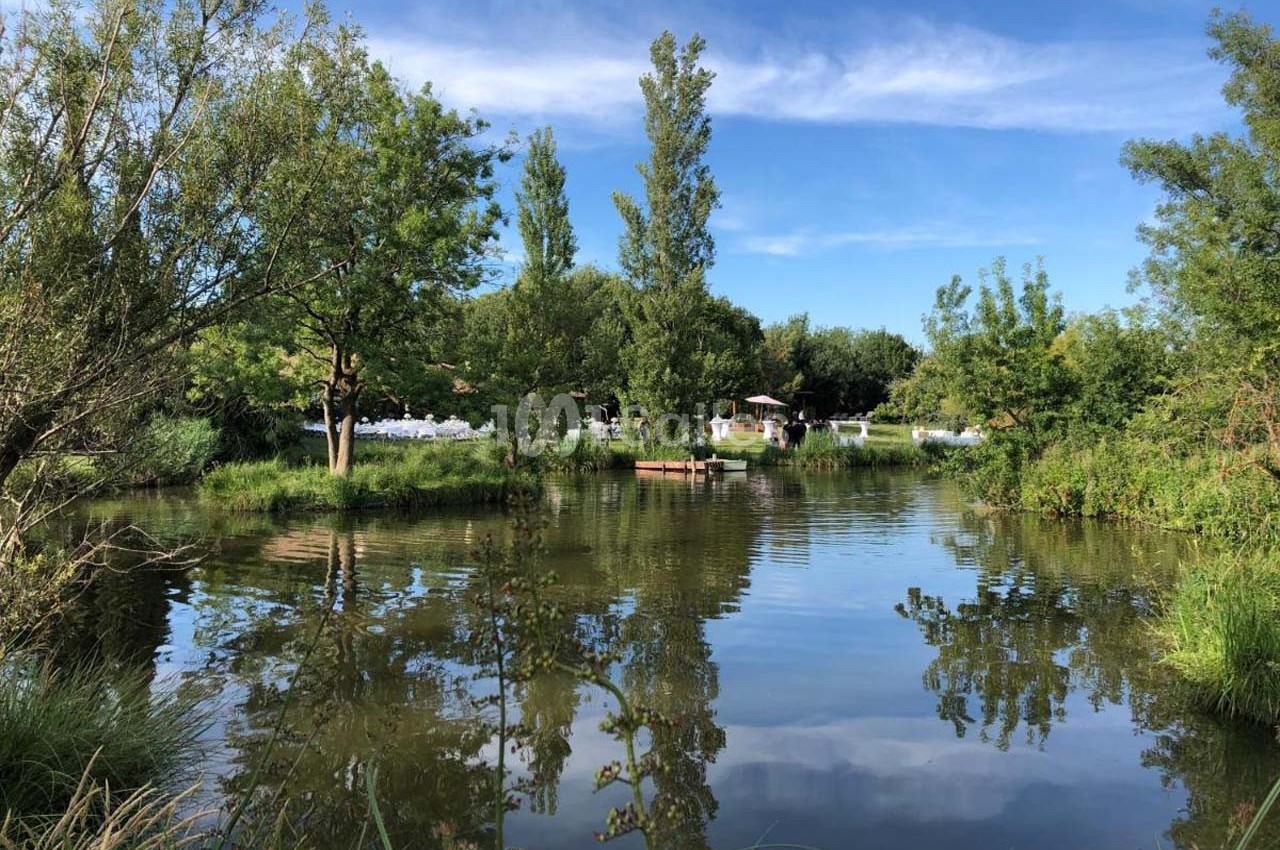 Marais des Capeau - galerie - photo 2