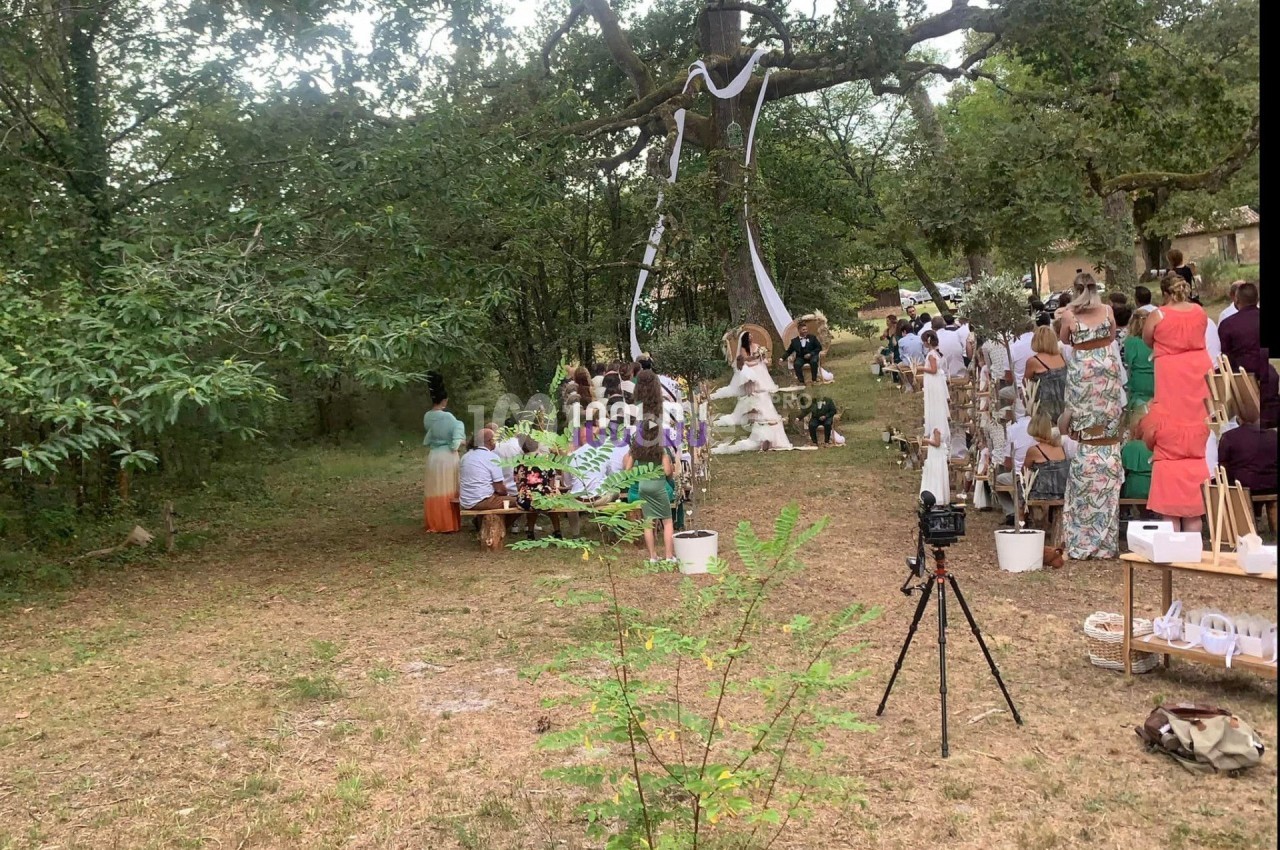 Cérémonie en plein air sous un grand arbre décoré, avec des invités assis et des enfants près d'une balançoire.