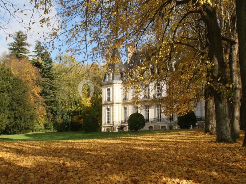 Manoir entouré d'arbres en automne, avec un tapis de feuilles jaunes couvrant le sol.