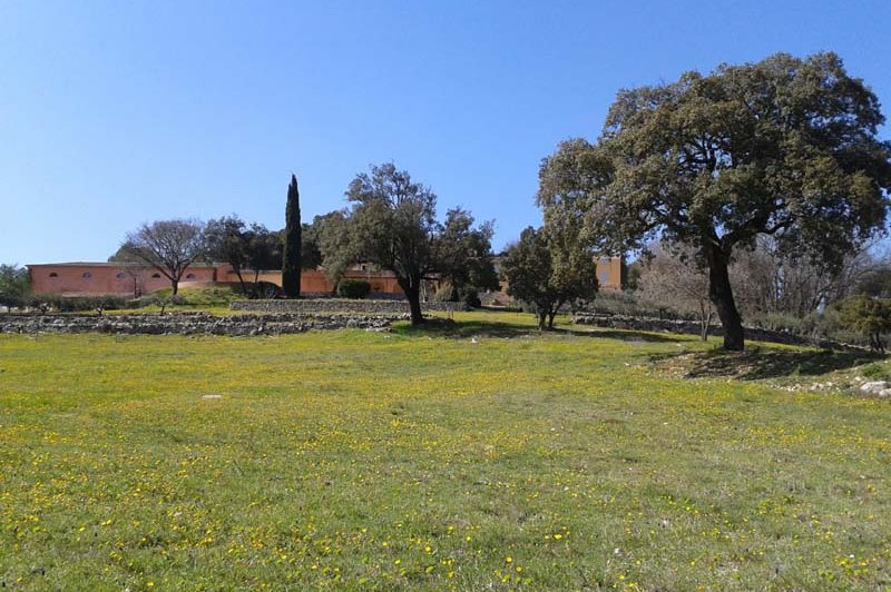 Domaine De L'amaurigue - photo 3