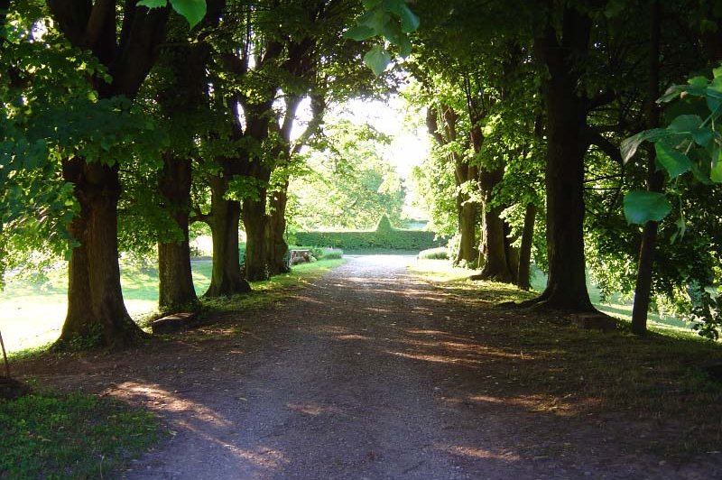 Château De Montribloud - photo 5