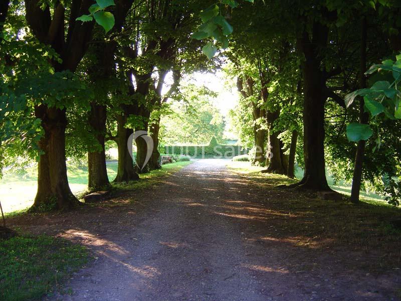Château De Montribloud - galerie - photo 5