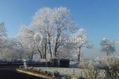 La Haie des Vignes - photo 1