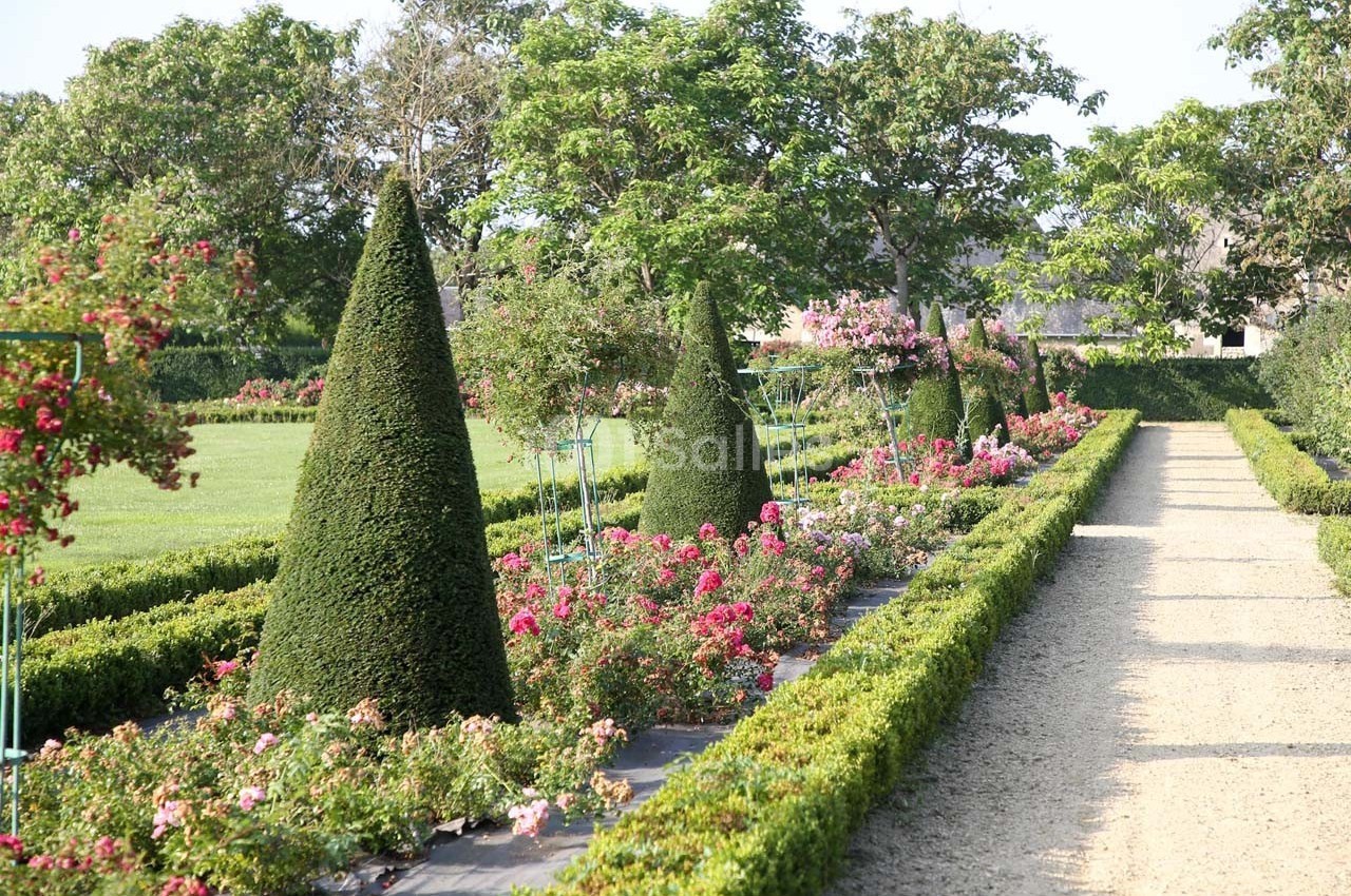 Allée de jardin bordée de buissons taillés en cônes, entourée de fleurs colorées et d'arbres verdoyants.