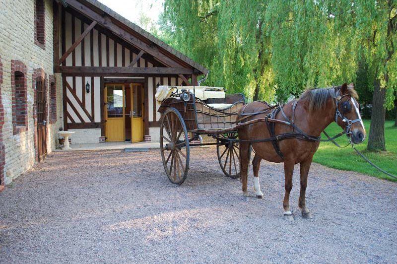 La Bergerie Le Doux Marais - photo 2