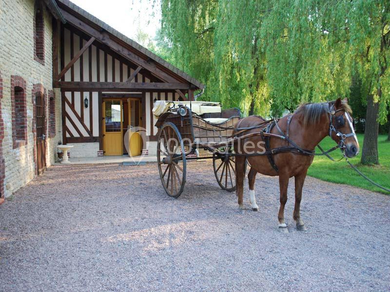 La Bergerie Le Doux Marais - galerie - photo 21
