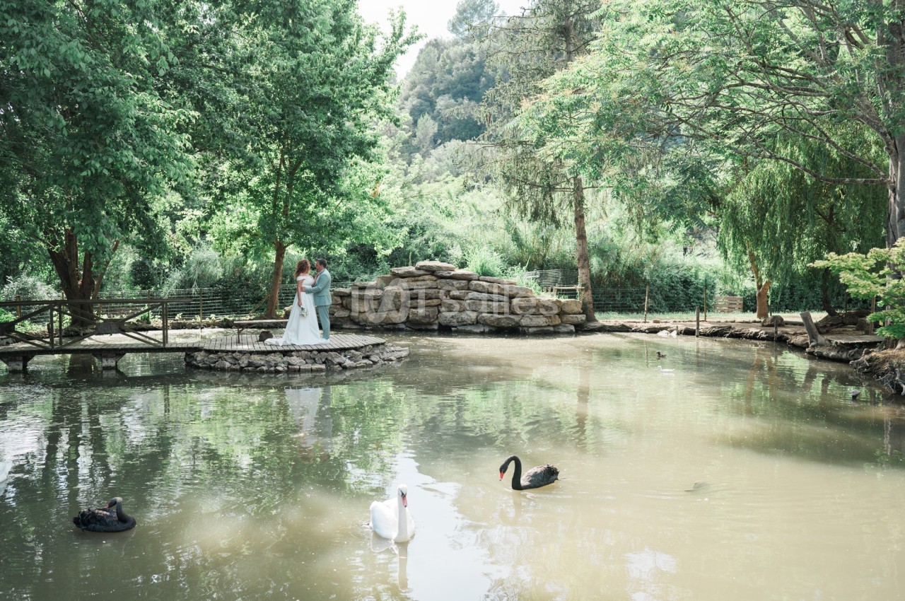 Domaine de la Mourachonne - galerie - photo 3