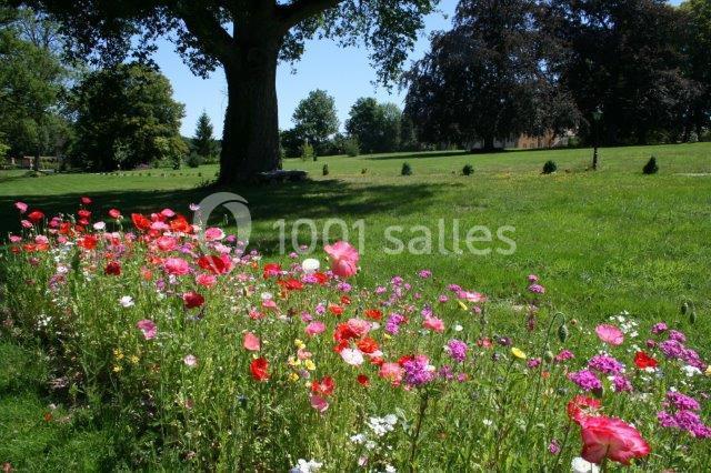 Massif de fleurs colorées en bordure d'une pelouse verdoyante, avec des arbres et un ciel dégagé en arrière-plan.