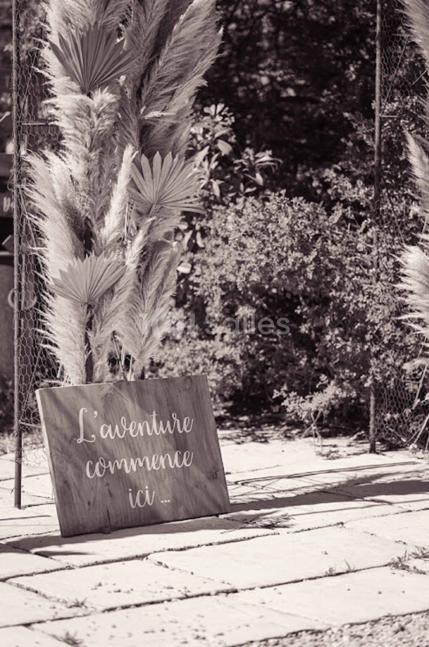 Panneau en bois avec l'inscription ’L'aventure commence ici...’ entouré de feuillages et d'herbes décoratives.