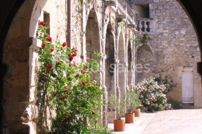 Château De Poudenas - photo 3