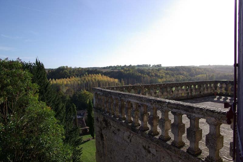 Château De Poudenas - photo 5