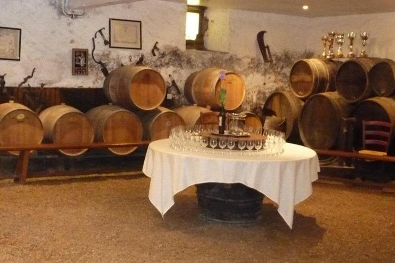 Château De La Galissonnière - photo 4