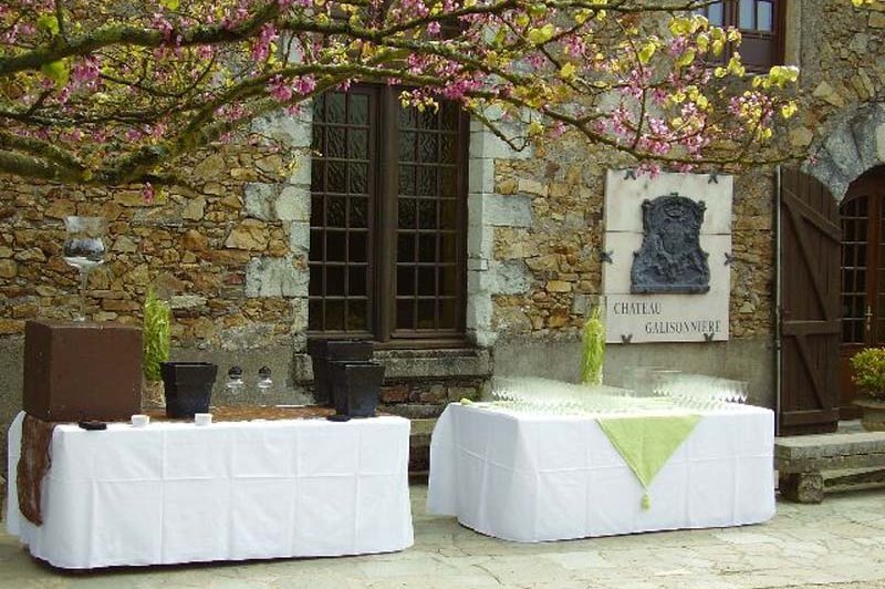 Château De La Galissonnière - photo 2