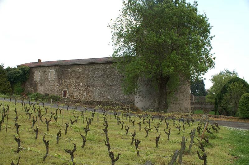Château De La Galissonnière - photo 4