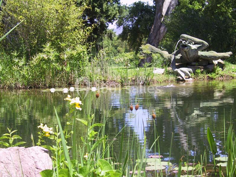 Domaine Des Planes - galerie - photo 11