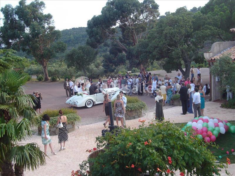 Domaine Des Planes - galerie - photo 4