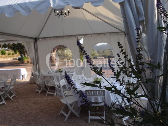 Domaine Des Planes - galerie - photo 13