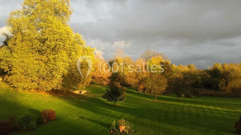 Paysage d'automne avec un grand arbre éclairé par le soleil, une pelouse verte et un ciel nuageux.