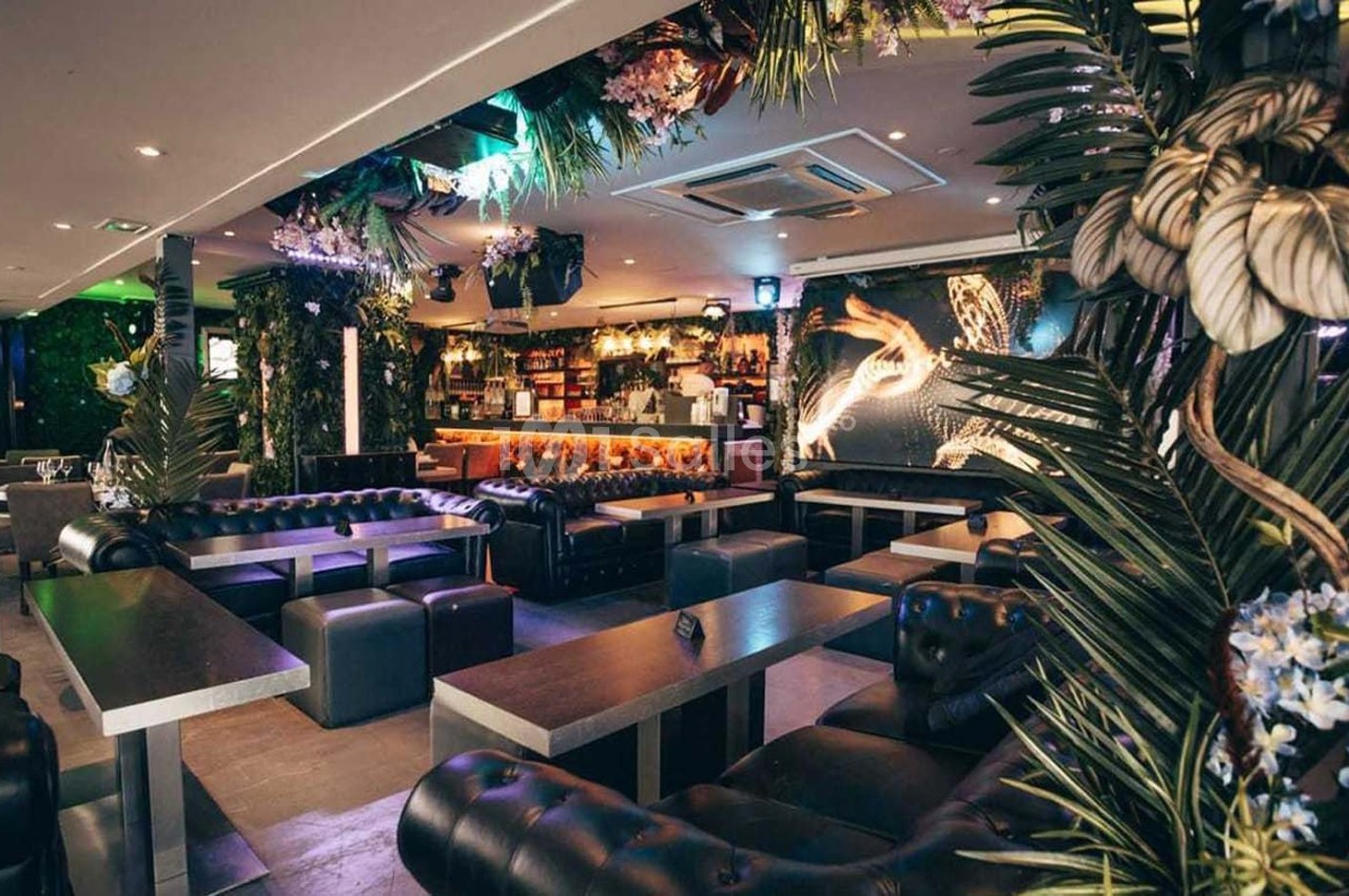 Intérieur d'un bar lounge avec canapés en cuir, tables basses, décorations végétales et éclairage tamisé.