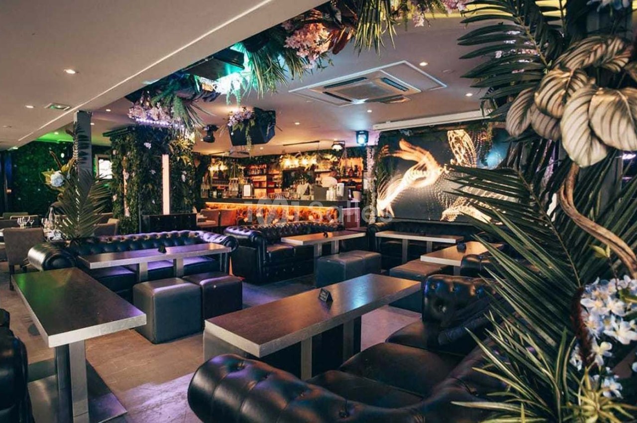 Intérieur d'un bar moderne avec canapés en cuir, tables basses et décoration végétale abondante.
