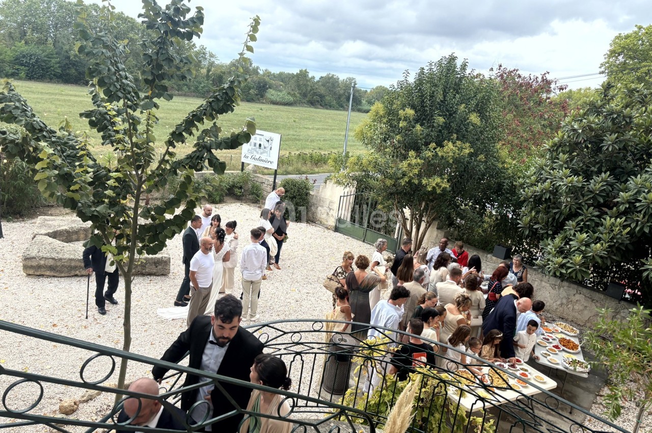 Groupe de personnes rassemblées dans une cour extérieure autour de tables de buffet, avec un paysage verdoyant en arrière…