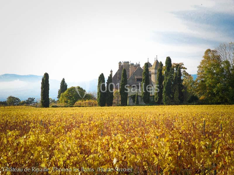 Château De Ripaille - galerie - photo 14