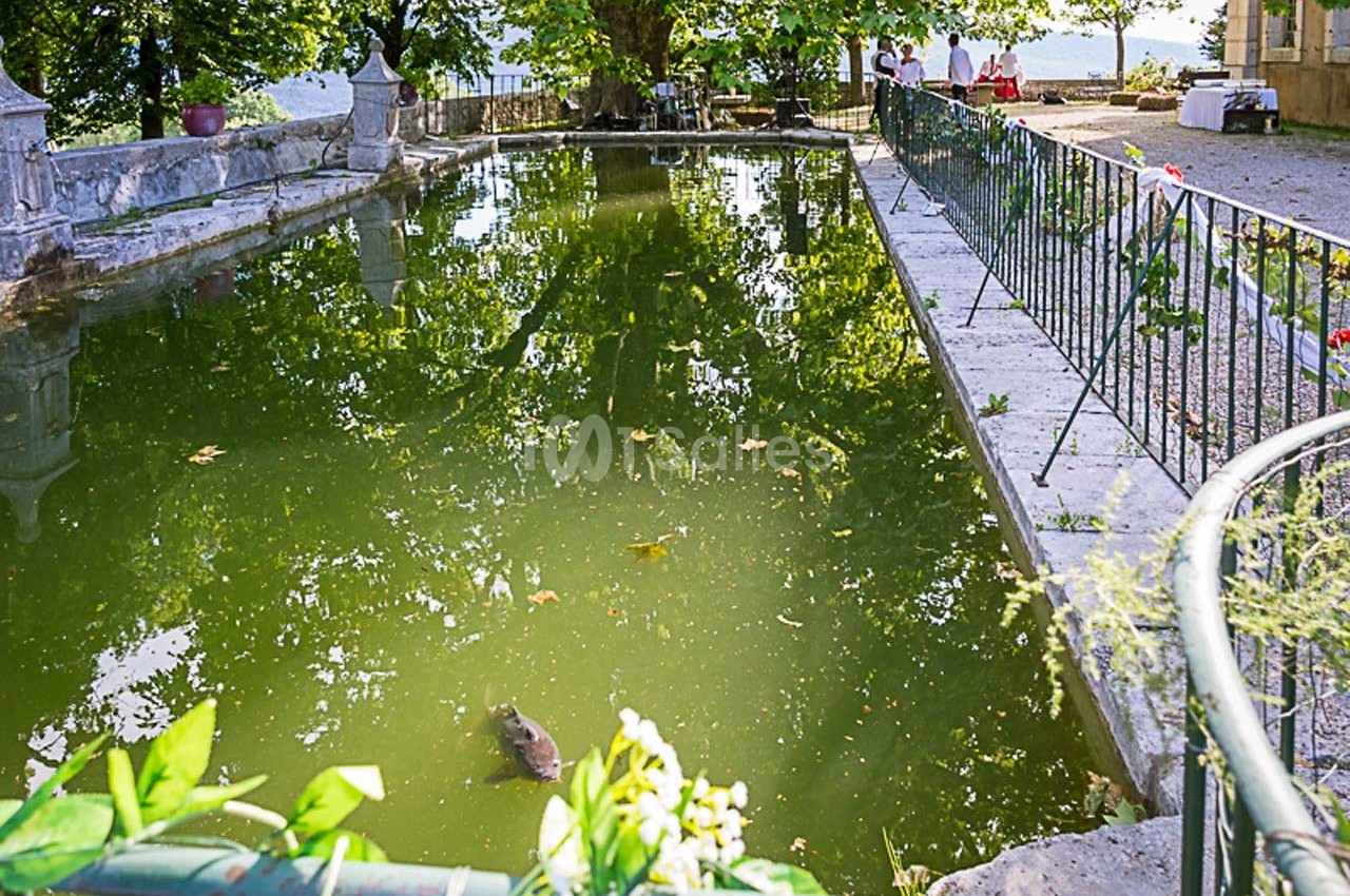 Bassin entouré de verdure avec un canard nageant, bordé de barrières métalliques et d'arbres en arrière-plan.