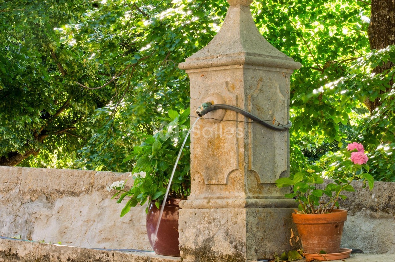 Fontaine en pierre ancienne avec un bec verseur, entourée de pots de fleurs, dans un cadre verdoyant.