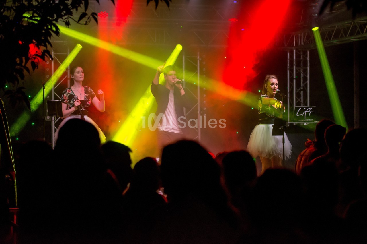 LiFi Artistes  - galerie - photo 6