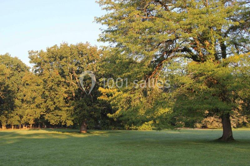 Château de Cop Choux - galerie - photo 23