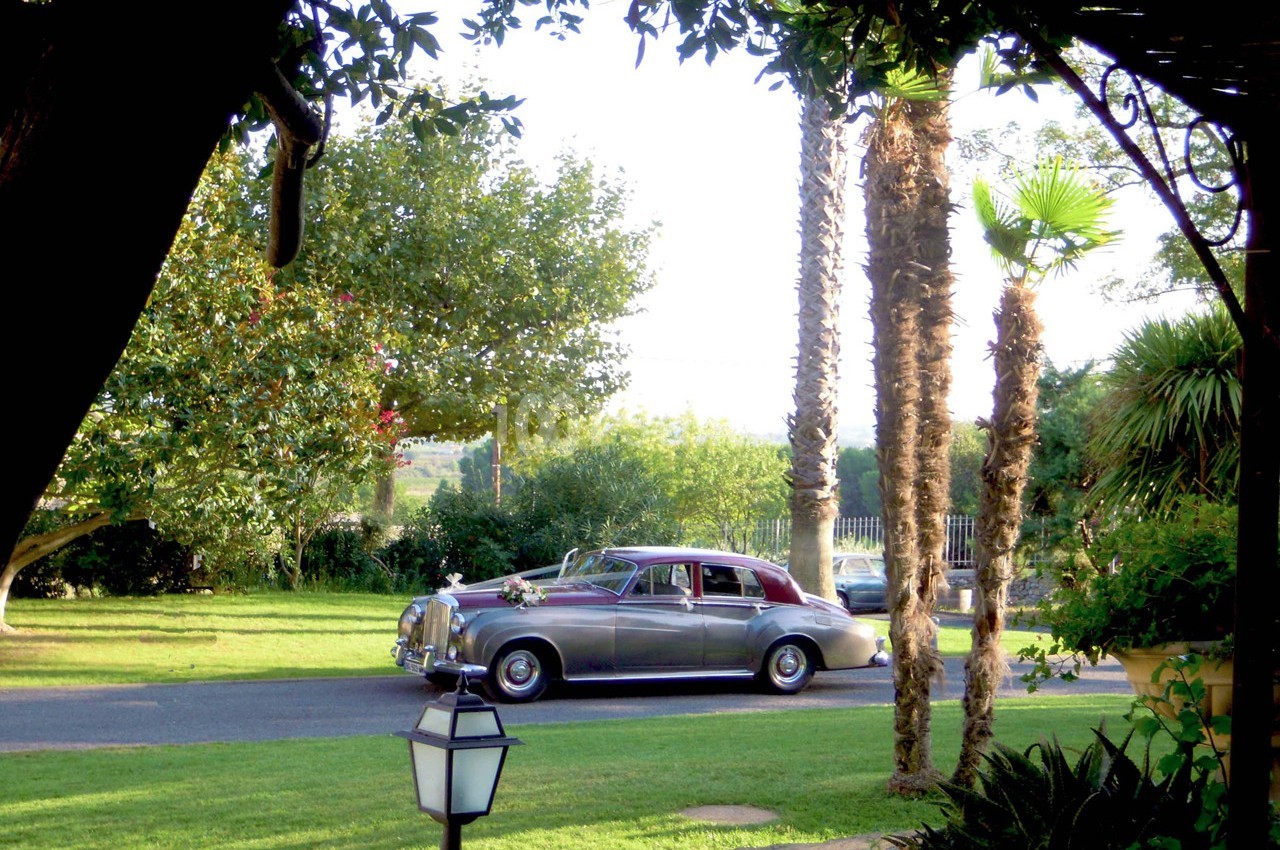 Voiture ancienne argentée garée sur une allée bordée de pelouses, avec des palmiers et des arbres en arrière-plan.
