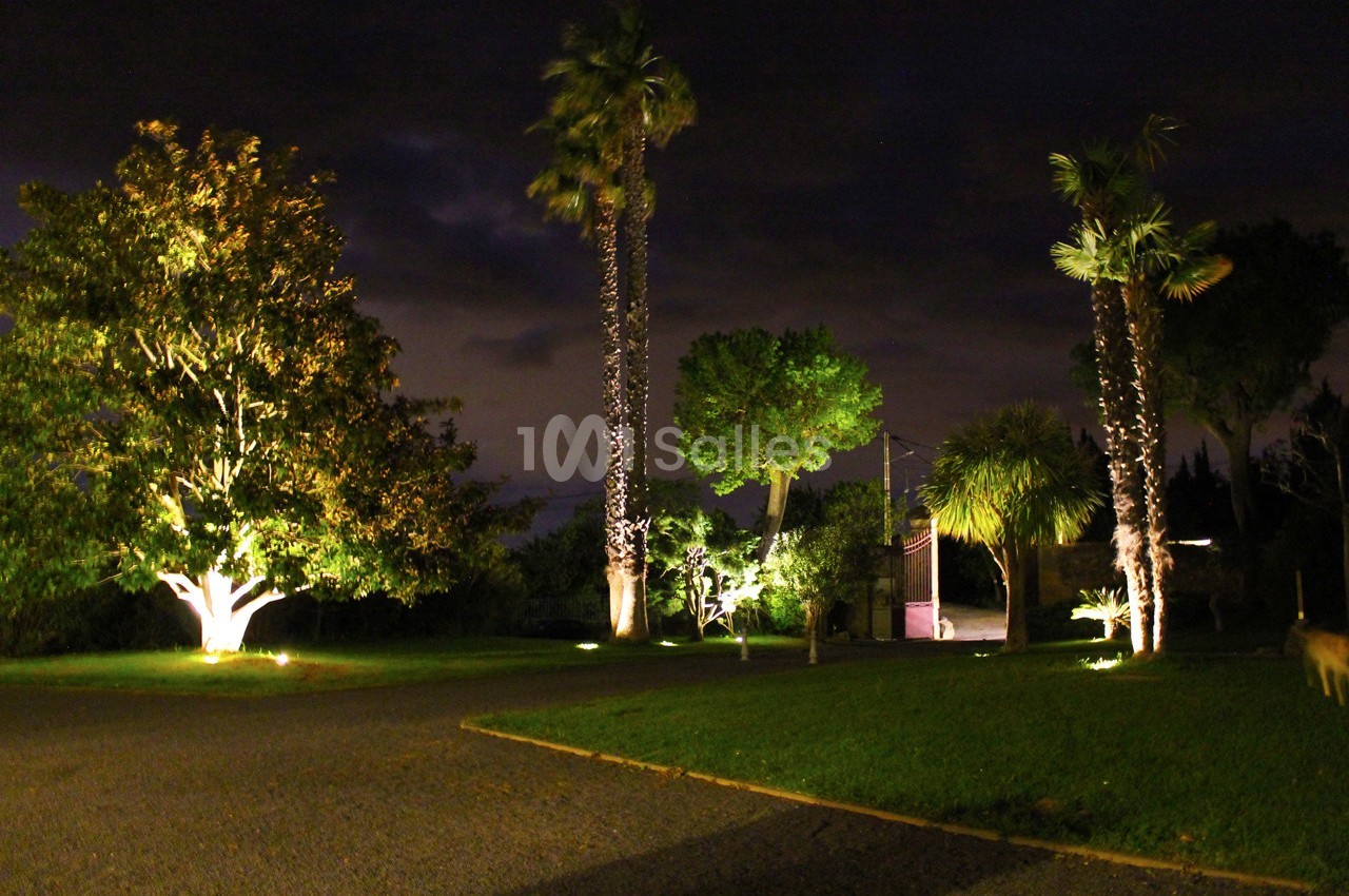 Allée de jardin éclairée la nuit, bordée d'arbres et de palmiers sous un ciel sombre.