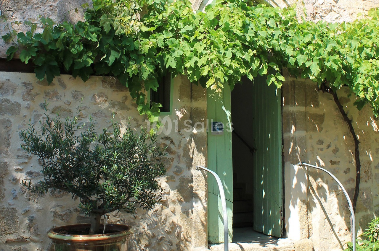 Entrée d'une maison en pierre avec porte verte, encadrée de vignes grimpantes et d'un pot d'olivier.