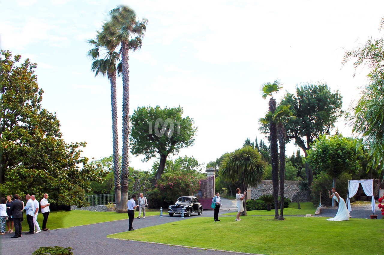 Un groupe de personnes dans un jardin avec des palmiers, une voiture ancienne et un couple en tenue de mariage.
