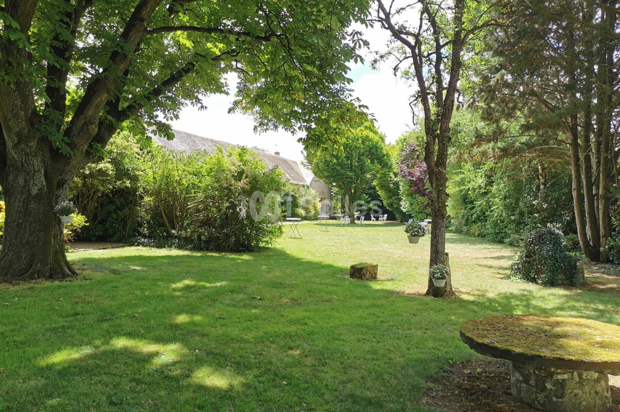 Jardin verdoyant avec pelouse, arbres ombrageants, buissons et une table en pierre, sous un ciel dégagé.