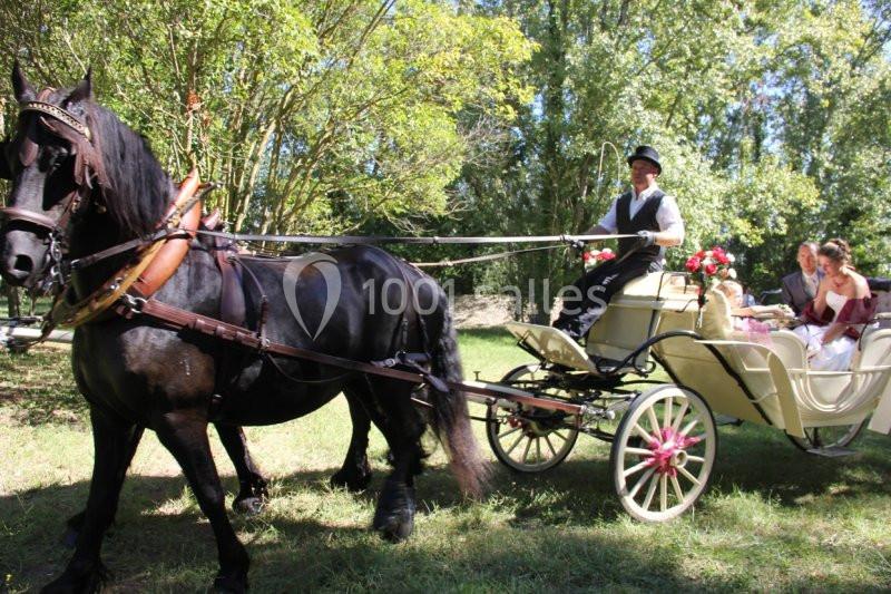 Le Mas De Cure Bourse - galerie - photo 17