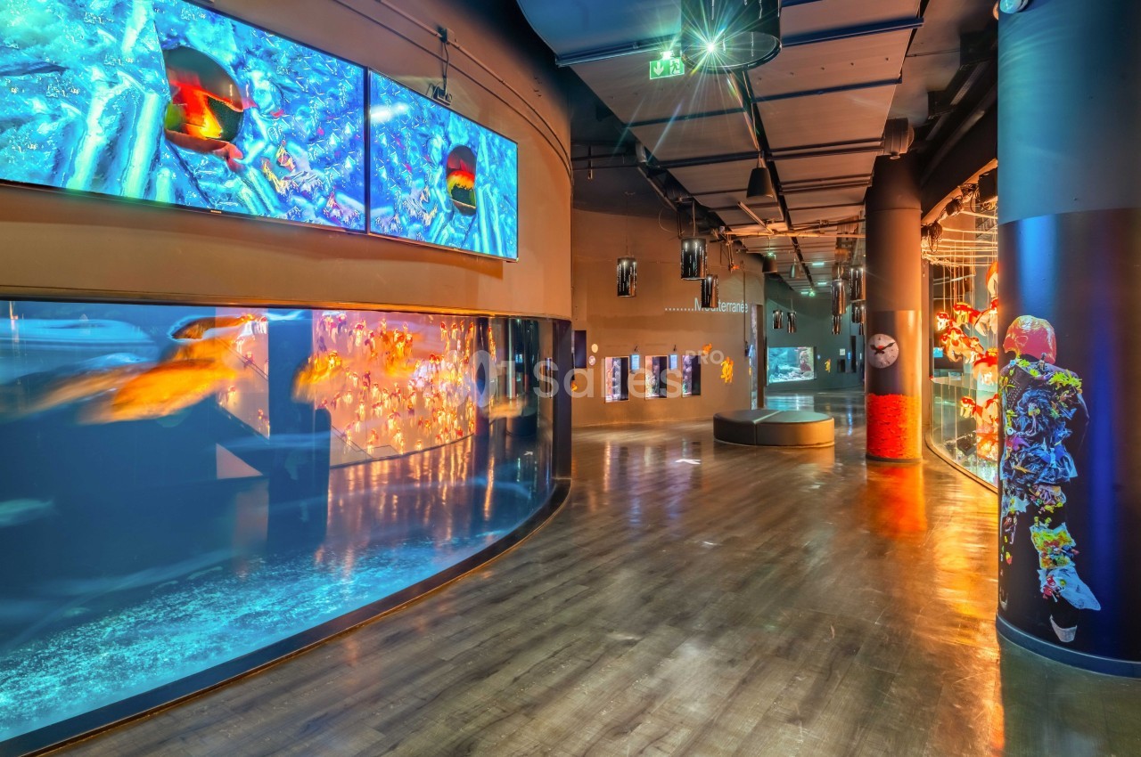 Aquarium moderne avec grands bassins vitrés, écrans numériques et éclairage tamisé dans un espace intérieur.