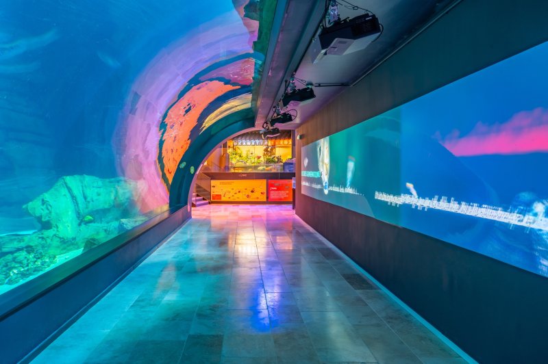 Les Salons de l’Aquarium de Paris - photo 2