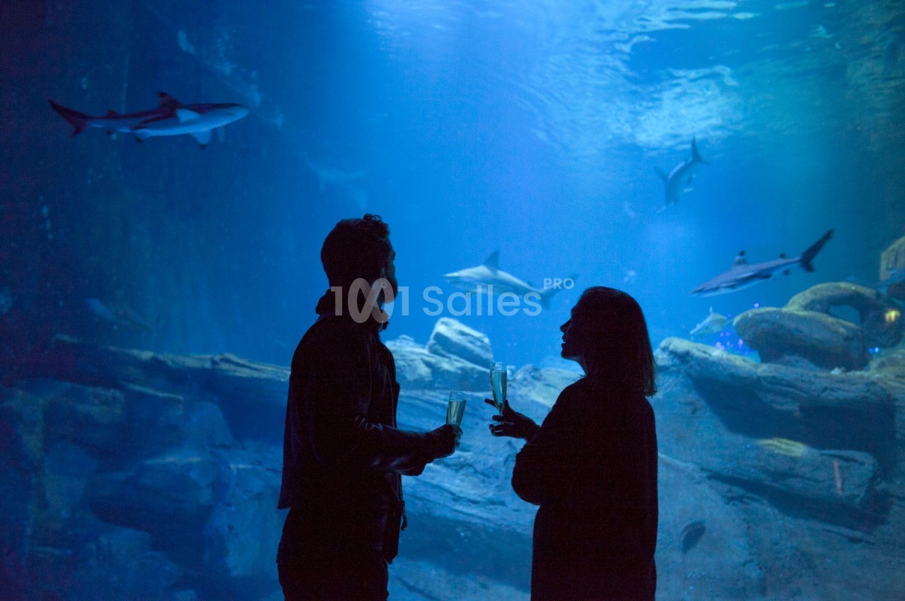 Deux personnes discutent dans un aquarium, entourées de requins nageant dans un grand bassin éclairé en bleu.