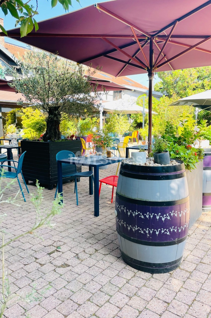 Terrasse extérieure avec tables, chaises colorées, parasols, tonneaux décoratifs et végétation environnante.