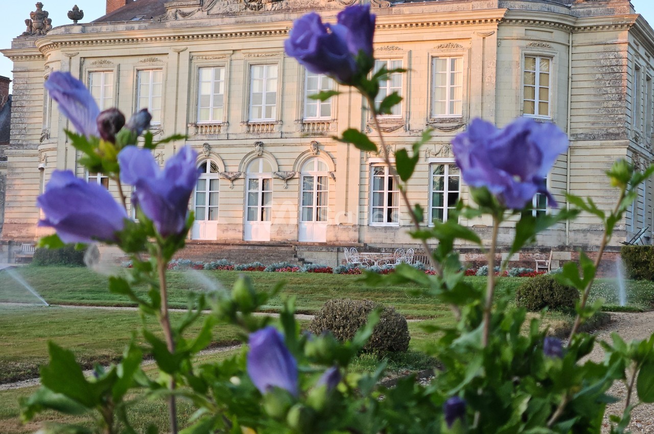 Le Château De Craon - galerie - photo 5