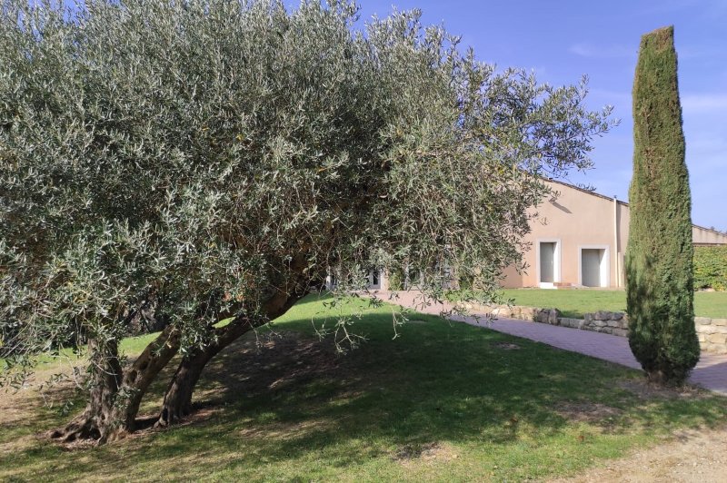 La Garrigue - photo 2