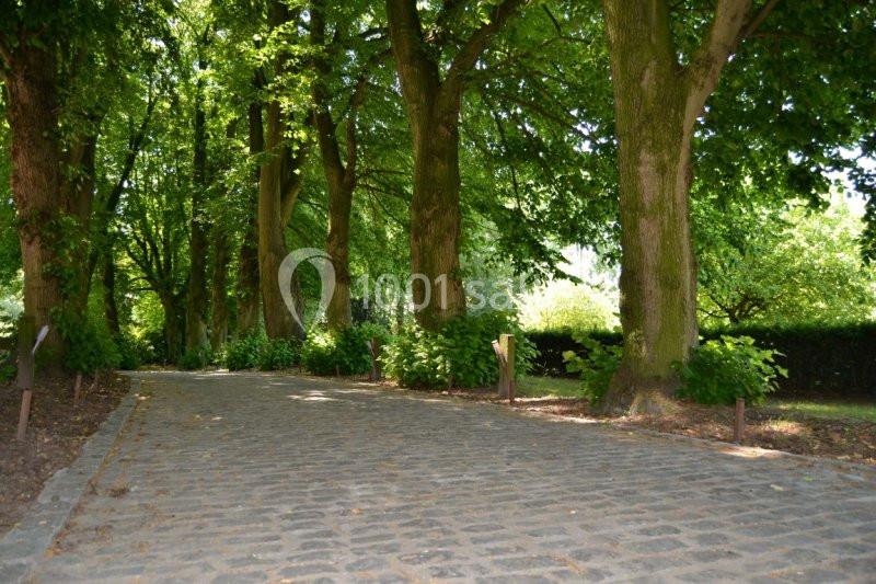 Allée pavée bordée d'arbres et de buissons dans un environnement verdoyant et ombragé.